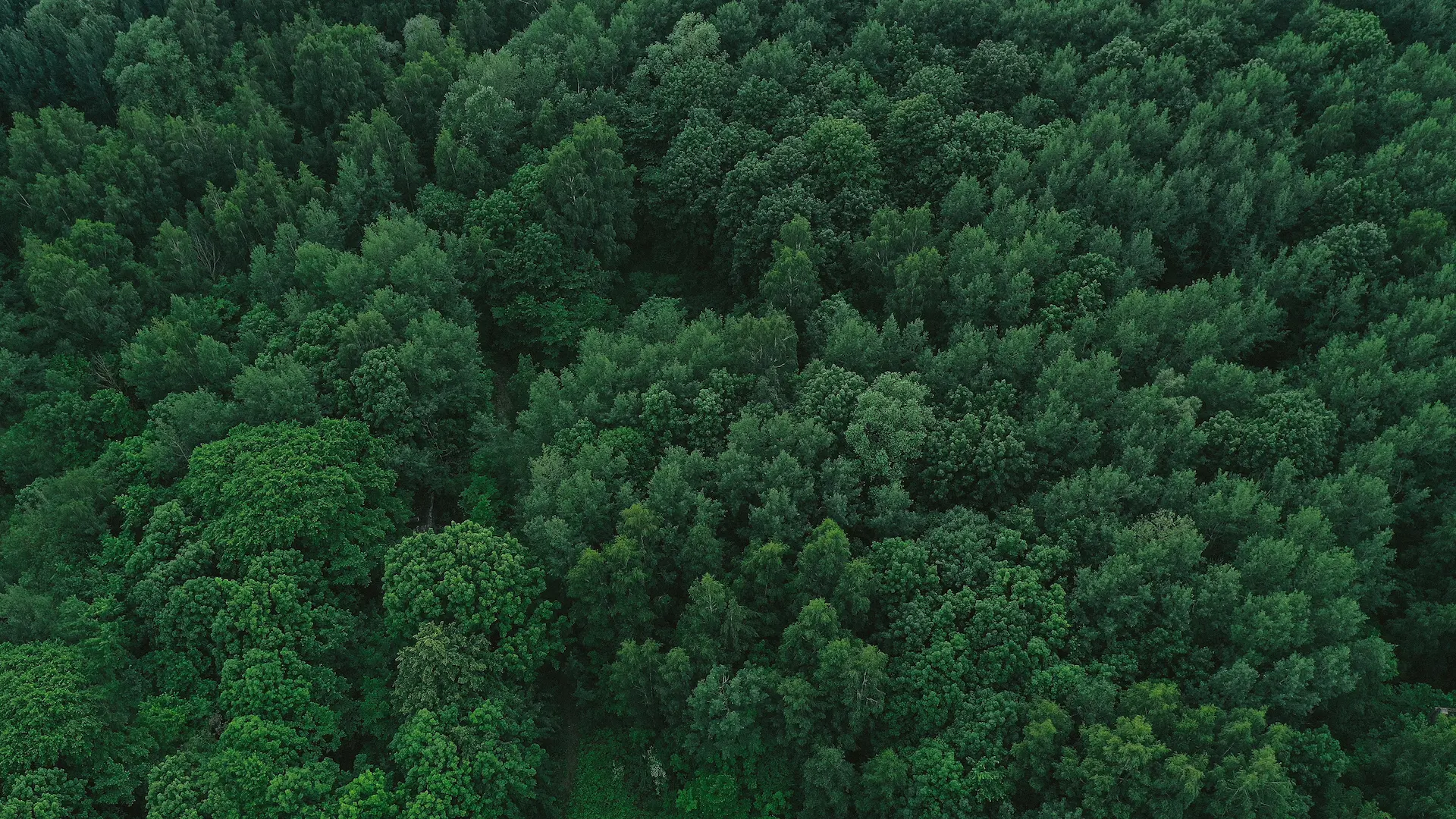 Impegnati per l'ambiente